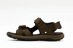 Sport|ROCKPORT Trail Technique Adjustable Sandal BROWN