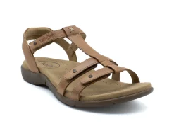 Casual|TAOS Trophy HONEY