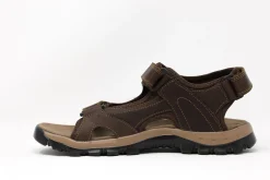 Sport|TAXI Sporty BROWN