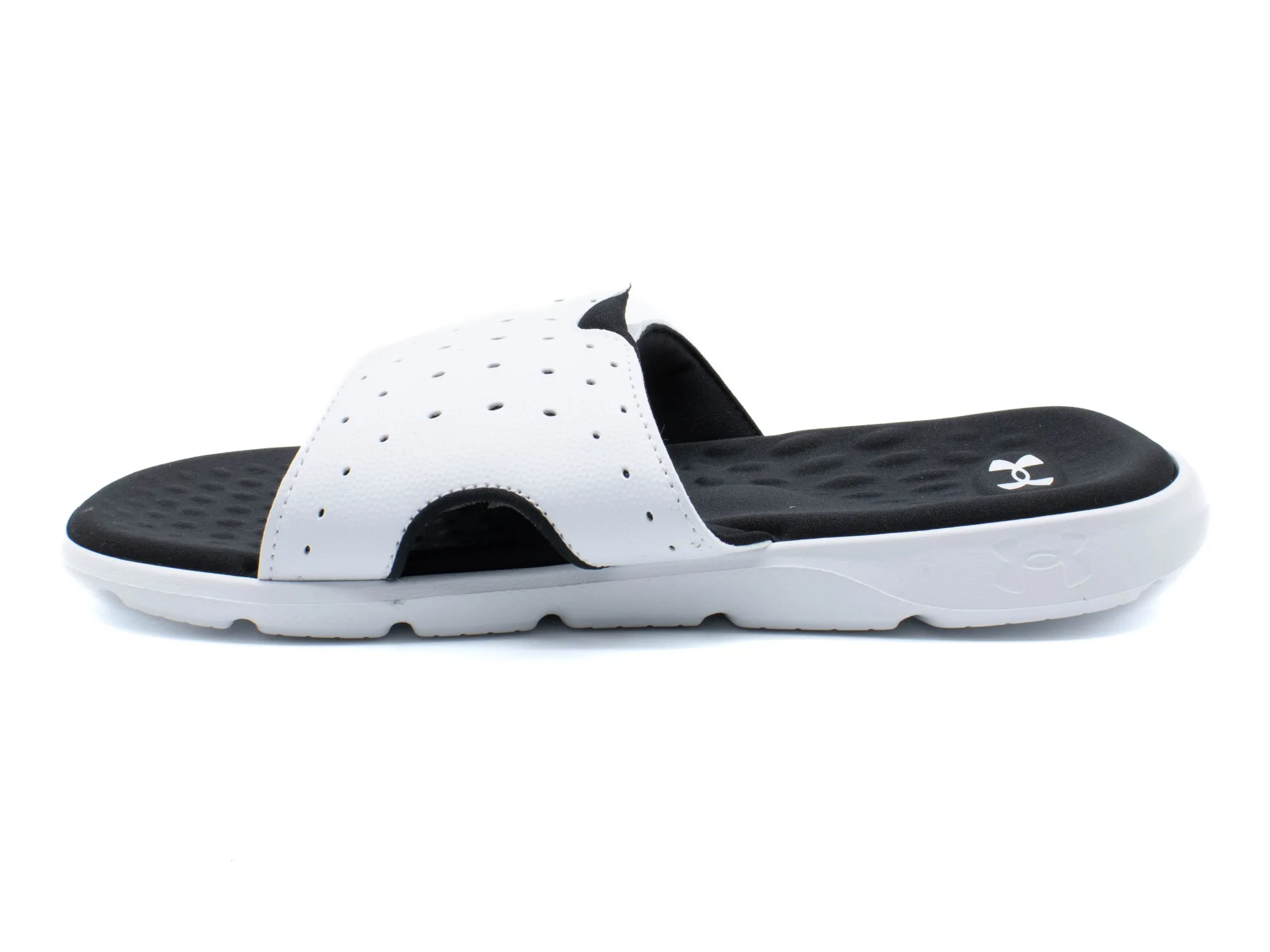 Sport|UNDER ARMOUR Ignite WHITE